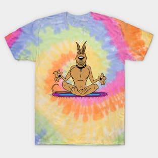 Zen Yoga Dane T-Shirt